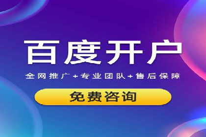 案例解读：SEM代理助力电商销量翻倍